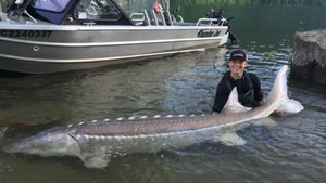 Cần thủ câu trúng 'cá quái vật' thời tiền sử 