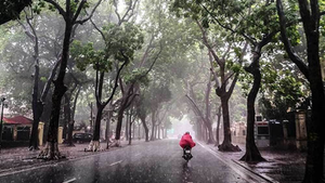 Tuần tới, cả nước mưa dông