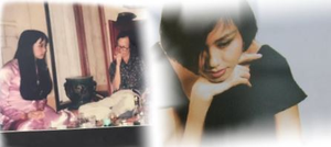 Hai thí sinh Hoa hậu Việt Nam từng khiến Trịnh Công Sơn rung động