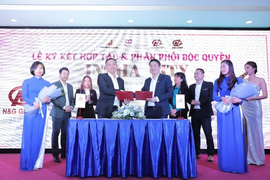 Tập đoàn N&G ký kết biên bản ghi nhớ với đối tác Hàn Quốc