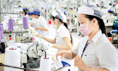 Gói hỗ trợ 26.000 tỷ đồng: Không nợ xấu mới được vay, quá khó 