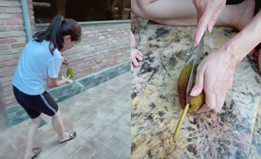 Clip: Cô gái hí hửng bổ quả mít tí hon