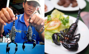 Con 'bù kẹp' - đặc sản vùng Bảy Núi chỉ những ai can đảm mới dám nếm thử