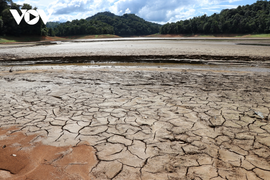 Ảnh: Hồ chứa 6 triệu m3 nước ở Điện Biên cạn trơ đáy