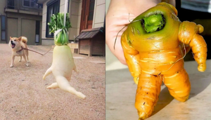 Tròn mắt với hội rau củ quả ‘đột biến’: Hóa chân dài quyến rũ đến mọc cả sừng