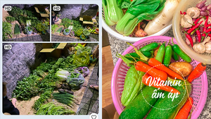 Chủ trọ mở chợ rau tại nhà, tất cả đều có giá 0 đồng mà vẫn 'lãi to'
