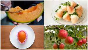 6 loại trái cây Nhật Bản đắt gây sốc