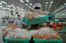 Kiến nghị lùi thêm thời gian thu phí dịch vụ cảng tại TP.HCM