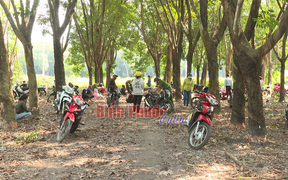 Tụ tập trong lô cao su, nhóm người ở Bình Phước bị phạt 450 triệu đồng
