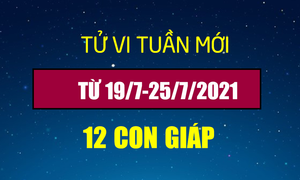 12 con giáp tuần từ 19/7-25/7: Sửu mất tiền, Thân gặp may trong kinh doanh