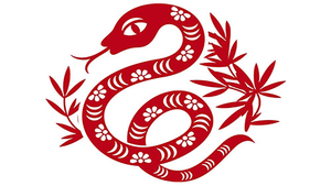 Dự đoán 12 con giáp 19/7: Dần thu nhập khởi sắc, Tỵ bị giục kết hôn