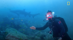 Video: Nam chính phim 'Thor' bơi cùng cá mập