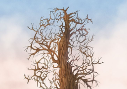 Đố vui: Có bao nhiêu con vật trong ảnh?