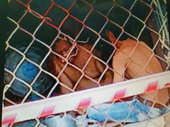 Xử phạt nhóm công nhân tổ chức nhậu trong khu vực phong toả ở Tiền Giang