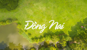 Tên gọi Đồng Nai có phải bắt nguồn vì nơi đây có nhiều hươu nai?