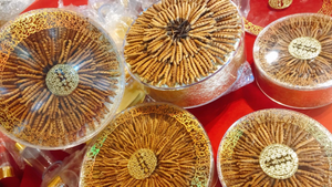 Mua 'xác' đông trùng hạ thảo giá cao ngất, cẩn thận tiền mất tật mang