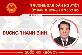 Infographic: Sự nghiệp Trưởng ban Dân nguyện Dương Thanh Bình 