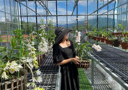 Câu chuyện mê hoa Lan của bà chủ vườn lan Philipcuccu Hoa