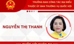 Infographic: Sự nghiệp Trưởng ban Công tác đại biểu Nguyễn Thị Thanh