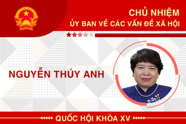 Infographic: Sự nghiệp Chủ nhiệm Ủy ban về các vấn đề xã hội của Quốc hội