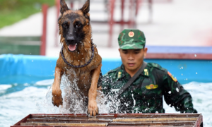 Biên phòng Việt Nam cùng 'vũ khí đặt biệt' sẵn sàng cho Army Games 2021