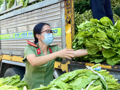 Ảnh: Người dân Đắk Lắk gom rau xanh, củ cải gửi tặng TP.HCM chống dịch