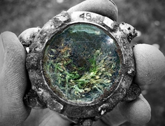 15 bức ảnh cho thấy sự tàn nhẫn, vô tình của thời gian