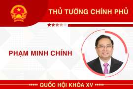 Infographic: Sự nghiệp Thủ tướng Phạm Minh Chính