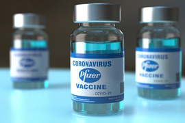 Thủ tướng: Áp dụng việc lựa chọn nhà thầu khi mua bổ sung vaccine của Pfizer