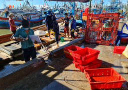 Ảnh: Ra khơi thua lỗ, nhiều tàu cá ở Quảng Ngãi nằm bờ chờ hết dịch