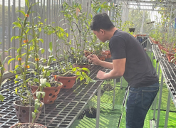 Ông chủ vườn lan Chinh Doãn và chuyện truyền cảm hứng cho người chơi lan