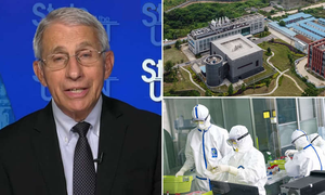 Mỹ chi 600.000 USD cho phòng thí nghiệm Vũ Hán nghiên cứu virus SARS-Cov-2