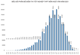 Môn Ngữ văn thi tốt nghiệp THPT 2021: Gần 15.000 thí sinh đạt điểm 9 trở lên