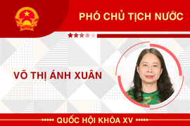 Infographic: Sự nghiệp Phó Chủ tịch nước Võ Thị Ánh Xuân