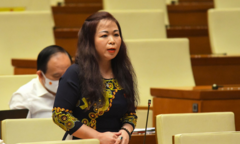 ĐBQH: 'Có cá nhân khi được giao nhiệm vụ phân bổ vốn tự cho mình quyền ban phát'