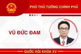 Infographic: Sự nghiệp Phó Thủ tướng Vũ Đức Đam