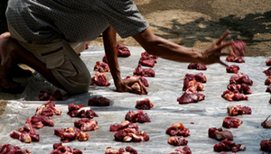 Cơn mưa thịt bí ẩn gây tranh cãi không hồi kết khiến các nhà khoa học 'đau đầu'