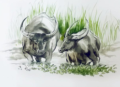 Dự đoán 12 con giáp 31/7: Sửu kiếm tiền dễ dàng, Thìn cẩn thận vay mượn