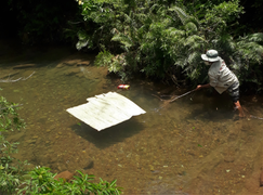 Ba học sinh chết đuối thương tâm ở Hà Tĩnh