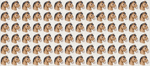 Đố bạn tìm ra 2 chú ngựa khác biệt trong 15 giây