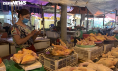 Miền Nam rớt kỷ lục, giá gà ở Hà Nội có giảm?