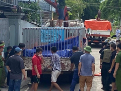 Nuôi trái phép 17 con hổ Đông Dương trong nhà dân ở Nghệ An: Thông tin mới nhất