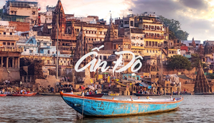 Nhiều người nghĩ Ấn Độ tôn thờ bò vì chúng là thần, nhưng sự thật không phải vậy