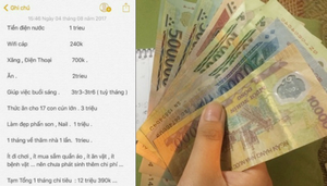 Tiêu 12 triệu/tháng nhưng hết 4 triệu thuê osin, cô gái độc thân gây tranh cãi