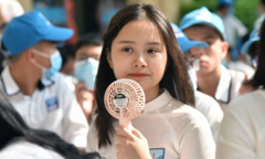 Dự báo điểm chuẩn các trường đại học khối ngành khoa học xã hội và nhân văn