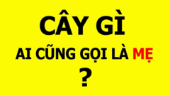 3 câu đố vui càng suy nghĩ càng 'hại não' nhưng ai cũng nghiện giải