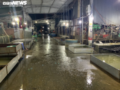 Ảnh: Chợ cá lớn nhất Hà Nội hoang vắng, tiểu thương nghỉ quá nửa vì COVID-19