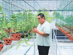 Chặng đường chinh phục loài hoa vương giả của ông chủ vườn lan Bát Giới Orchids