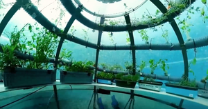 Video: Khám phá trang trại dưới nước ở Địa Trung Hải