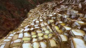 Video: Độc đáo ruộng muối bậc thang nghìn năm tuổi ở Peru